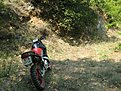 IMG 7807
