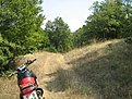IMG 7815