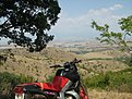 IMG 7818