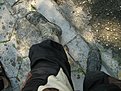 IMG 7823