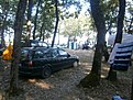 P9050216
