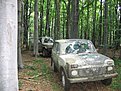 IMG 4708