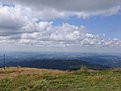 IMG 4737