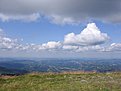 IMG 4738