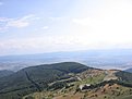 IMG 4760