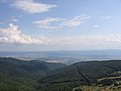 IMG 4761