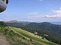 IMG 4762