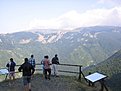 IMG 4768