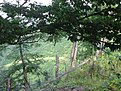 IMG 4830