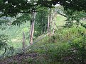 IMG 4831