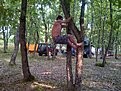 Primorsko 20110903 00010