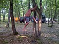 Primorsko 20110903 00011