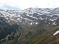 DSC07418