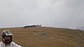 P9180649