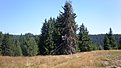 P8270233