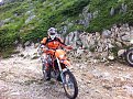 IMG 0217