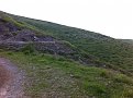IMG 0219