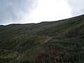PA021910