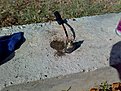 61020111889