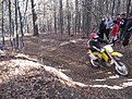 IMG 2786