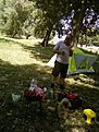 Photo 0010