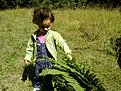 Photo 0039