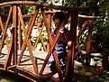Photo 0050