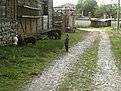 Кипилово (1)