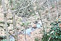 DSCF0031
