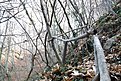 DSCF0032