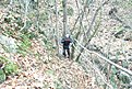 DSCF0038