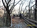 SDC10092