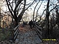 SDC10094