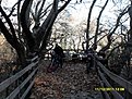SDC10096