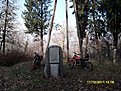 SDC10100