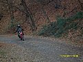 SDC10111