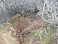 SDC10408