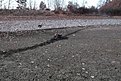 DSCF2048