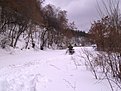 10012012950