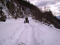 10012012955