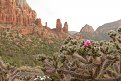 sedona1http://www.offroad-bulgaria.com/album.php?albumid=2614&attachmentid=407806