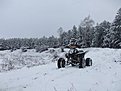 DSCF3385