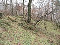 SDC10784
