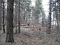 SDC10883