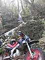SDC10974