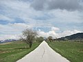 IMG 3770