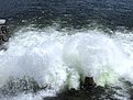 IMG 3775