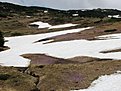 IMG 3777