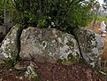 IMG 0066