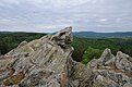 DSC 2651